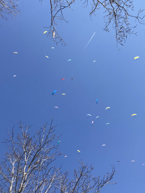 Locanda77 osteria con cucina 2 (6)